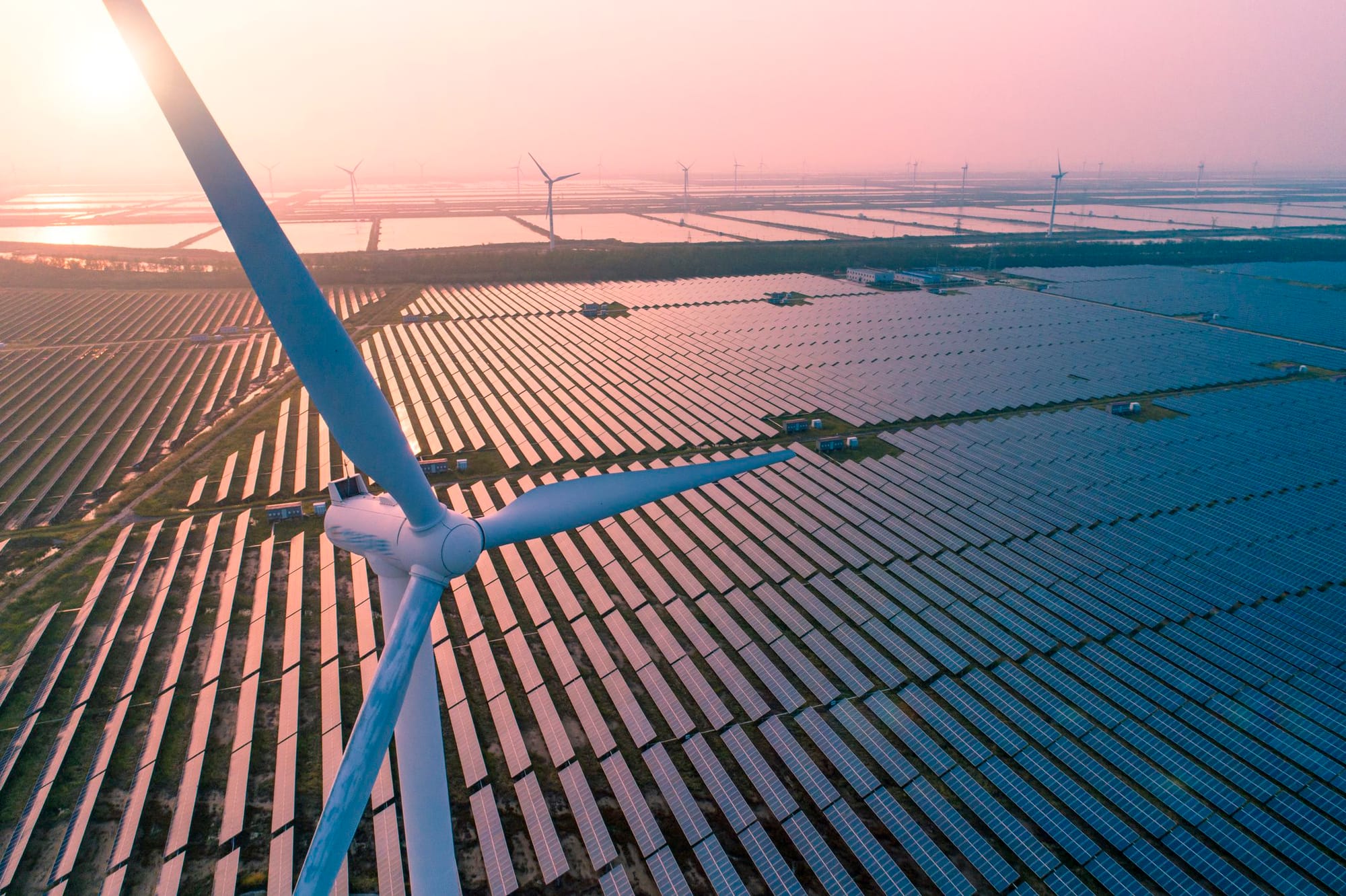 The VC-Funded Cleantech Companies That Didn’t Make It Through 2024: A Deep Dive